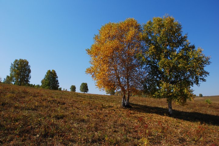 200793022523.jpg