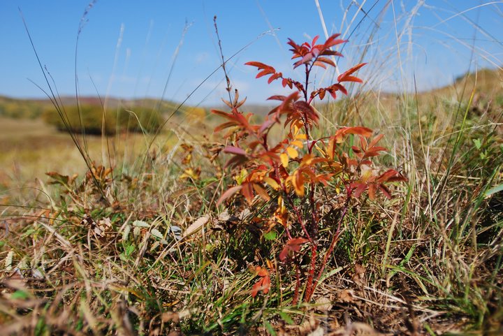 200793022937.jpg