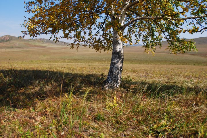 200793022924.jpg