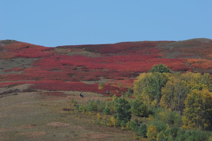 200793023251.jpg