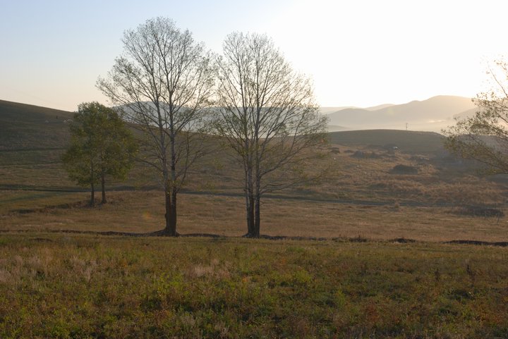 200793015645.jpg