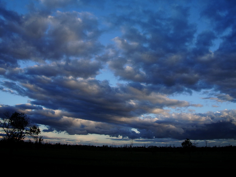 2007817102631.jpg