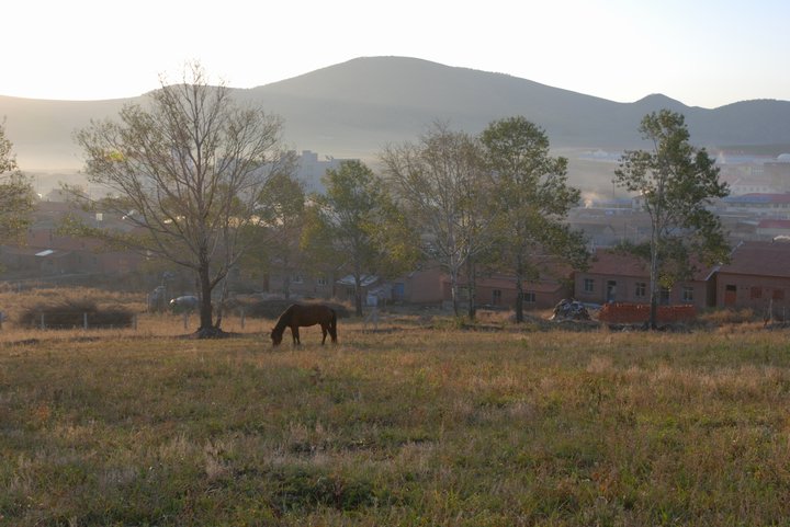 200793015634.jpg