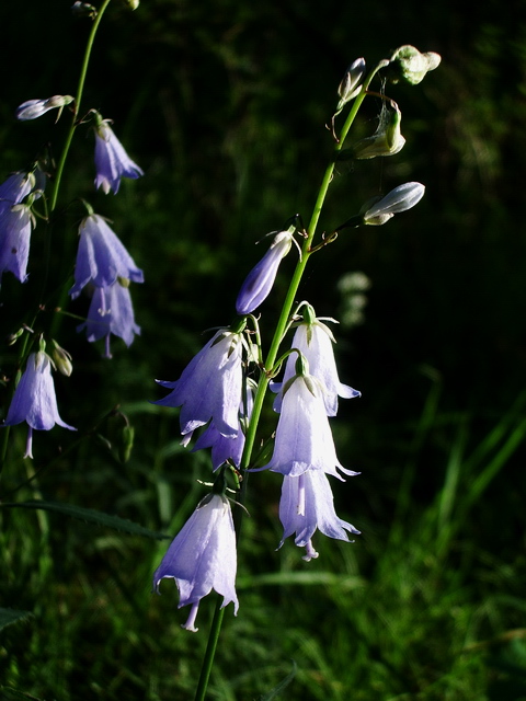 20078313358.jpg