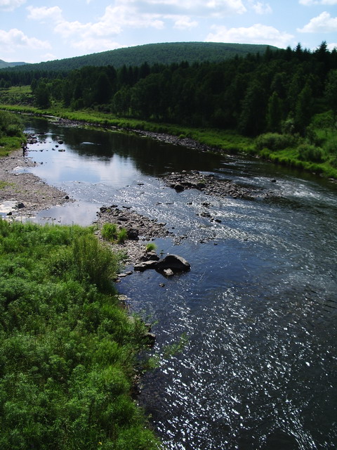 200786162225.jpg
