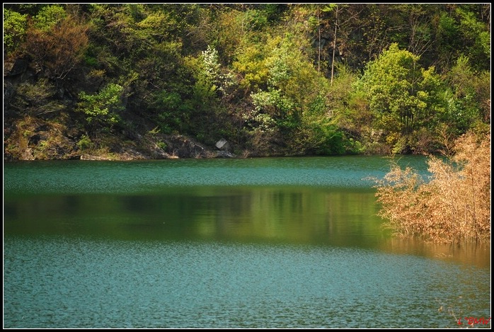 2008419222.jpg