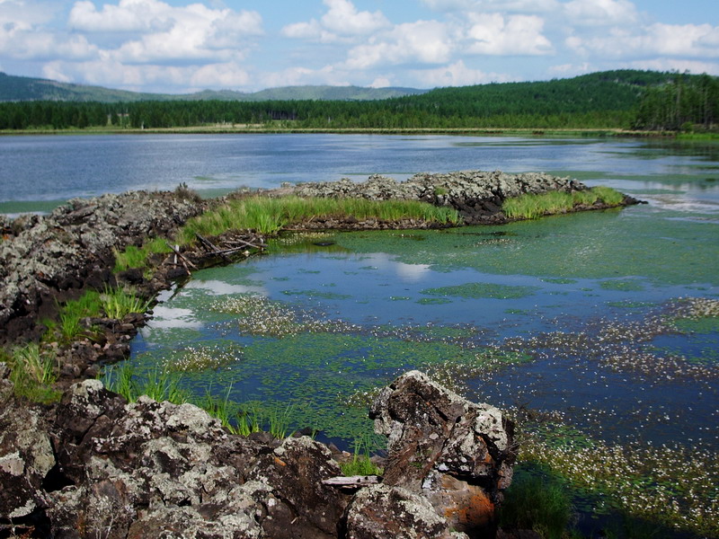 20078712418.jpg