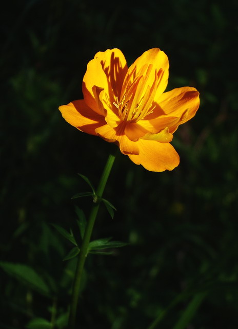 200783103145.jpg