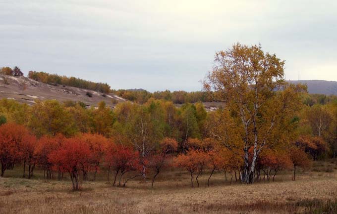 2007109114753.jpg