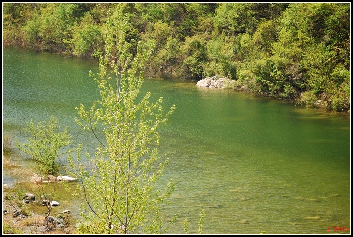20084192353.jpg
