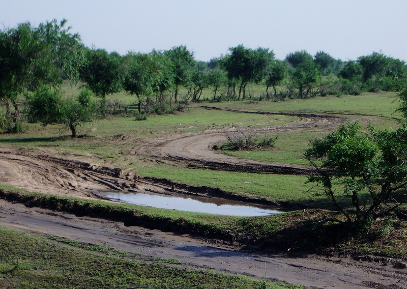20078212138.jpg