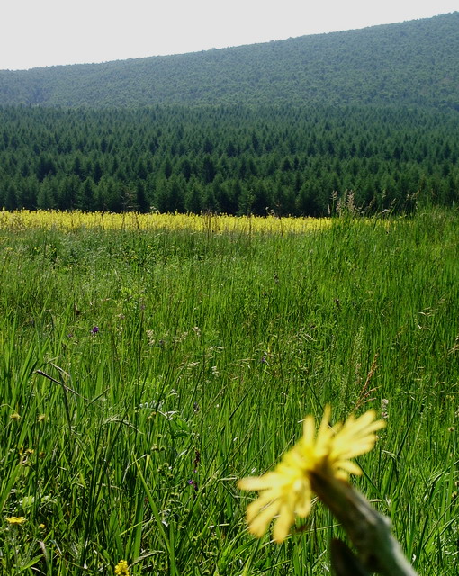 200786161328.jpg