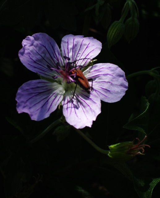 200783132847.jpg