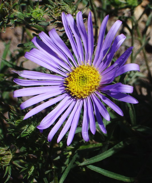 200783133212.jpg