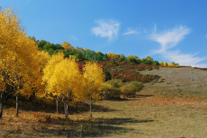 2007930102929.jpg