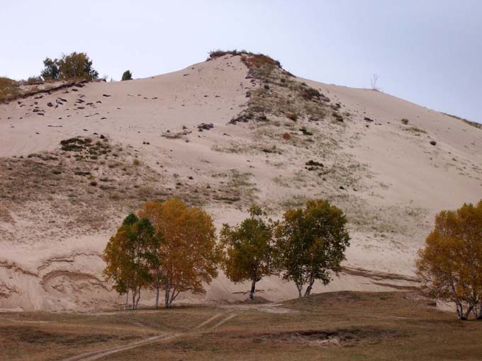 2007109115016.jpg