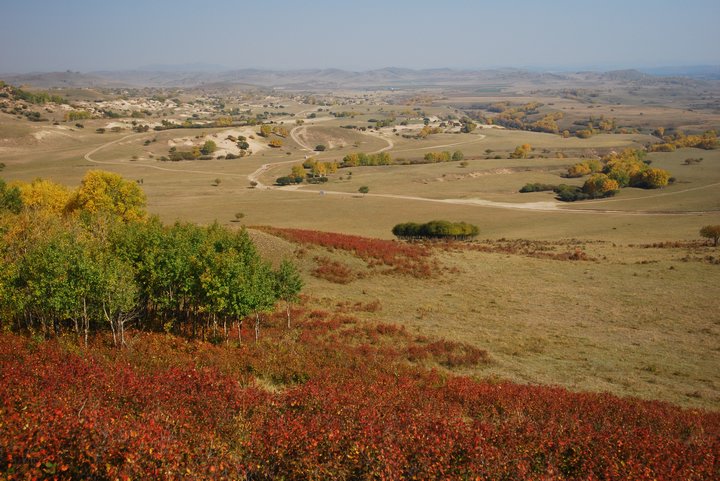 200793010374.jpg