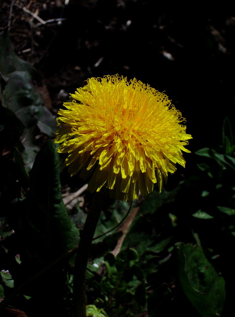 200783132818.jpg