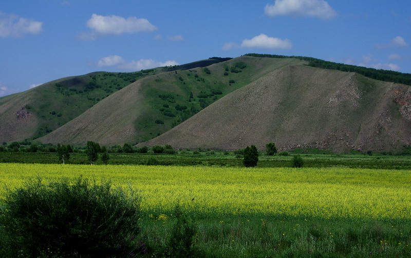 200786161629.jpg