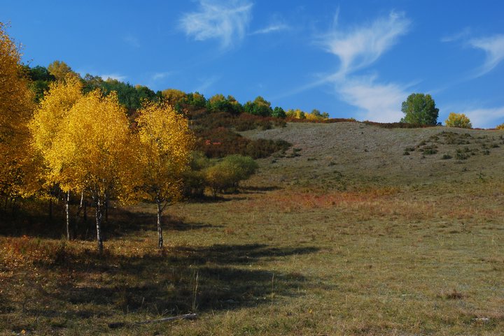 2007930103014.jpg