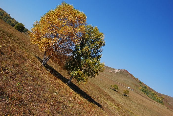 2007108211210.jpg