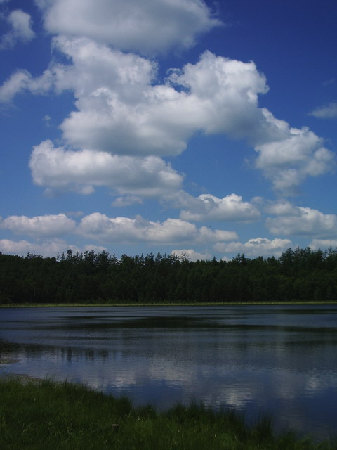 20078616283.jpg