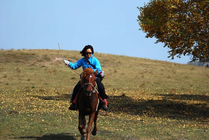 2007102134955.jpg