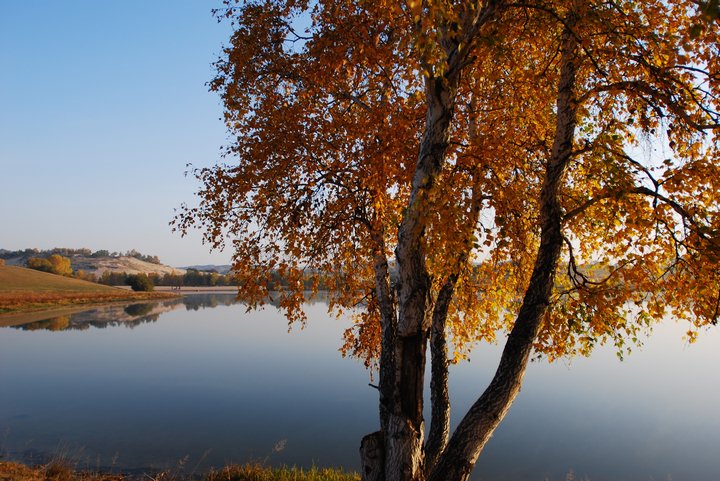 2007102133837.jpg