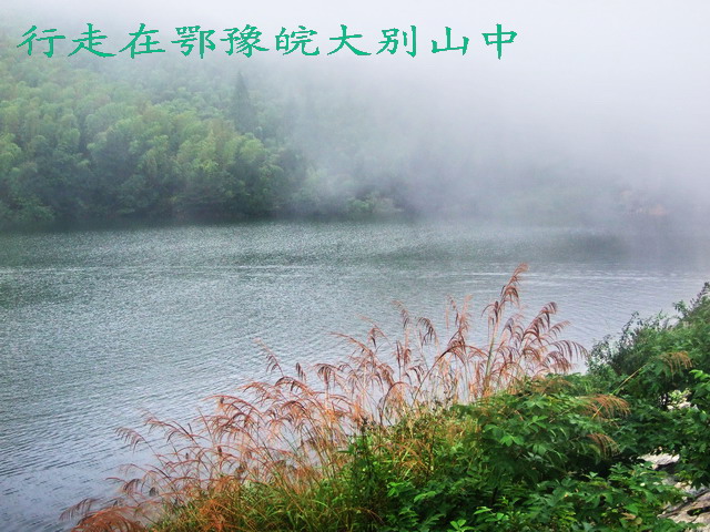 20080522_710c9bf1e5d16efdfcdfv9zdv1EETyeE.jpg