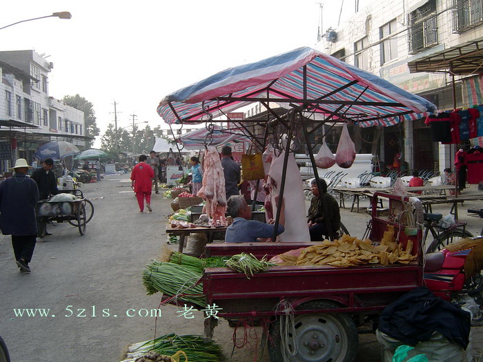 DSC00141.jpg