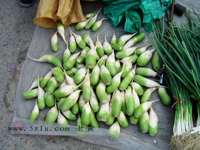 DSC00007.jpg