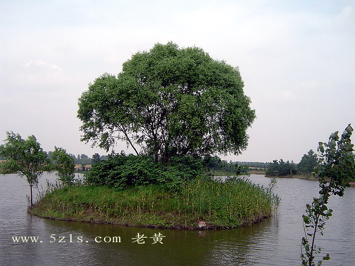 DSC00063.jpg