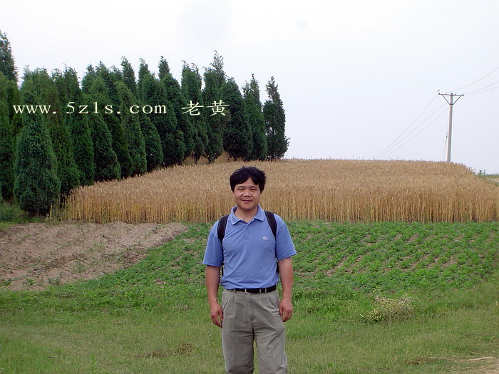 DSC00093.jpg