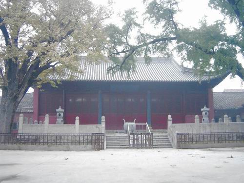 20051113194552.jpg