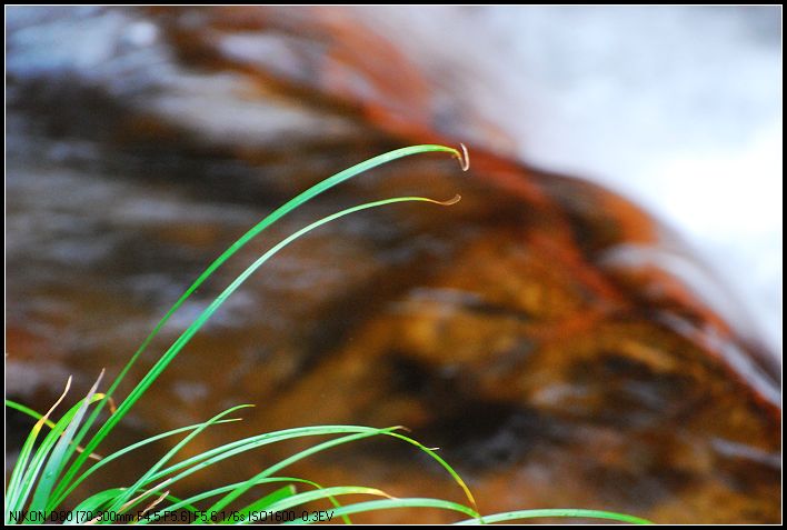 DSC_0834_nEO_IMG.jpg