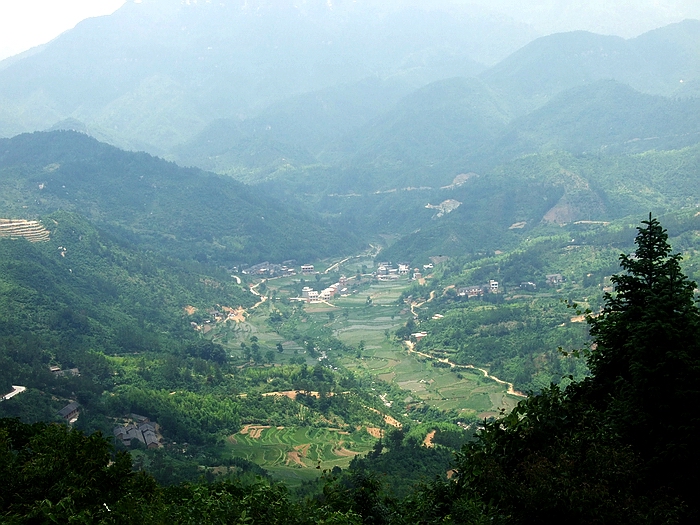 DSCF8345.jpg