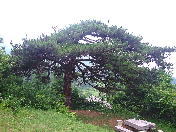DSCF8708.jpg