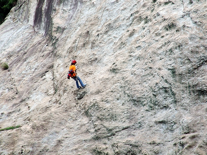 DSCF8685.jpg