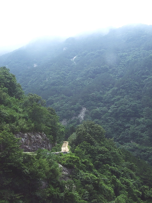 DSCF8679.jpg