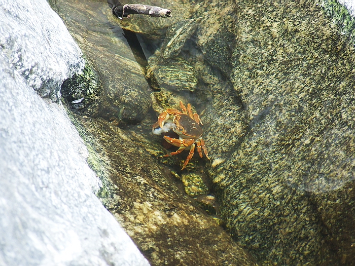 DSCF8430.jpg