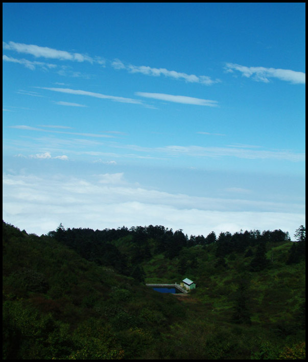 gС01.jpg