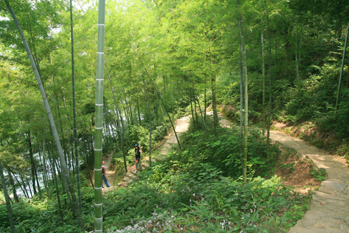 06.jpg