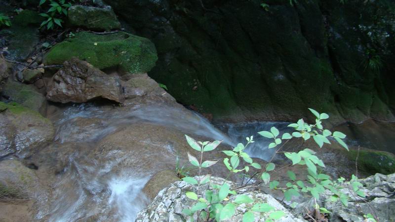 DSC04470.jpg