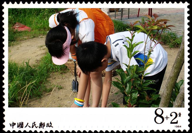在看啥？