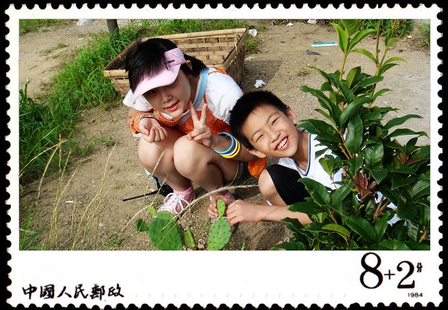 让你们别摸它，嘿嘿，手上扎刺了吧