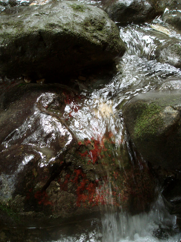 DSC01471.JPG