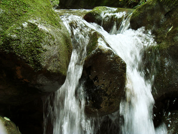 DSC01477.JPG