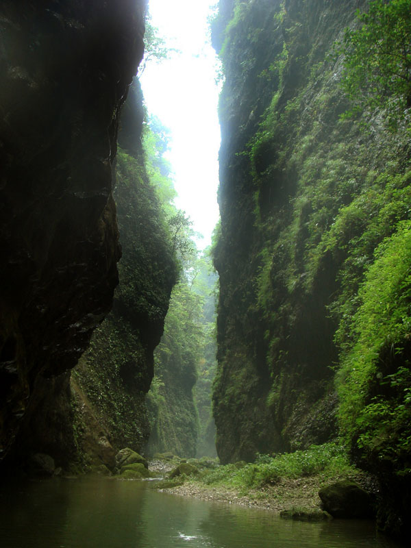 DSC01470.JPG