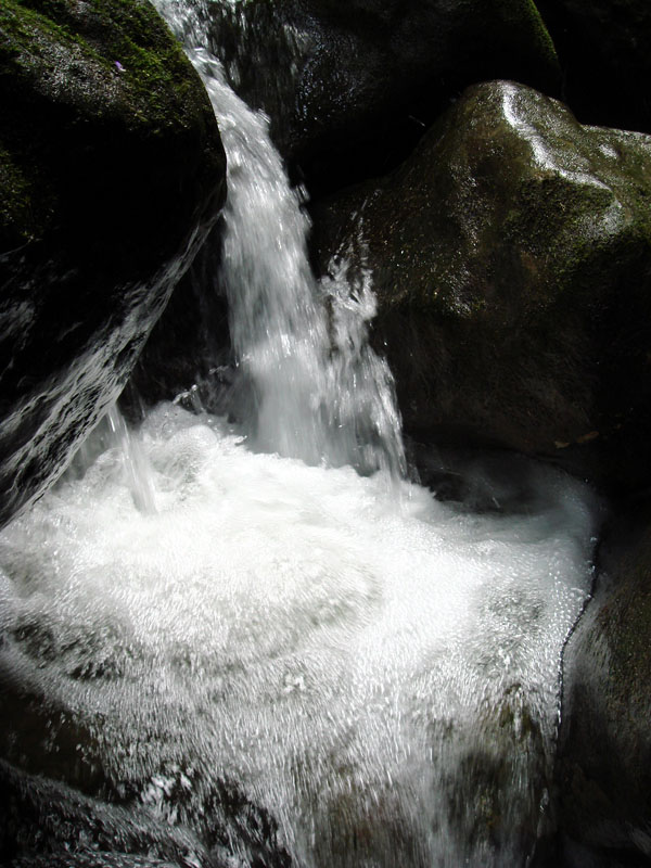 DSC01481.JPG