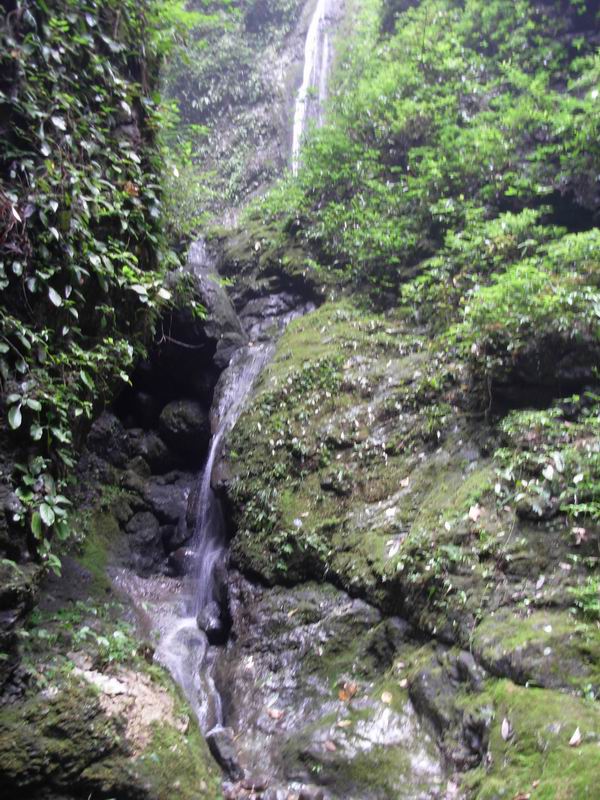 ת DSCN2252.JPG